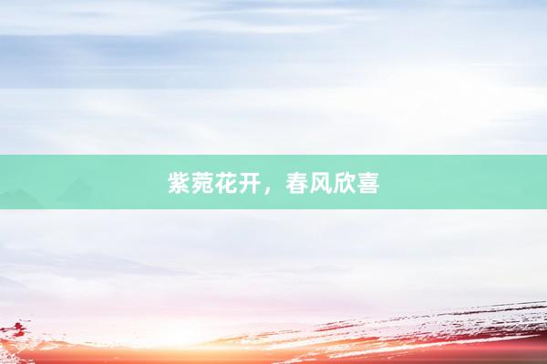 紫菀花开，春风欣喜